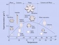 Morfologie ledovch krystal